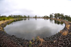 Tarra WT Tarra Valley Rd Holding Basin